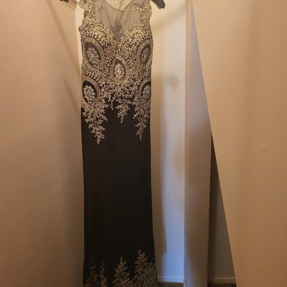 Dave & Johnny Gown/Prom dress